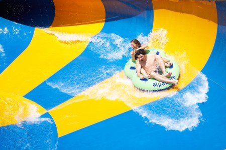 Grosse Alpamare Rückwärtsauktion!