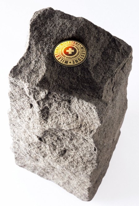 Der «MILESTONE. Tourismuspreis Schweiz»