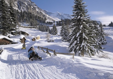 Der längste Schlittelweg der Welt! 