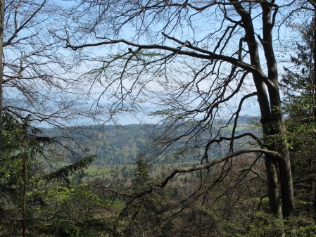 Wildnispark Zürich, Sihlwald Sihlwald-Patenschaften - Wildnispark Zürich, Sihlwald Sihlwald-Patenschaften
