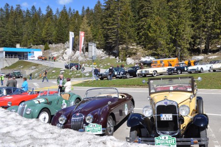 Sie sind schon ganz schön in die Jahre gekommen aber herausgeputzt sind sie alle. 