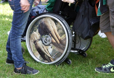 Dreamnight im Walter Zoo Gossau