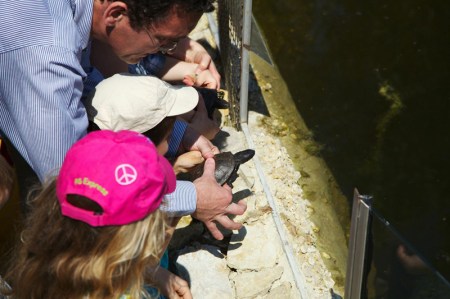 la_jeune_génération_relâche