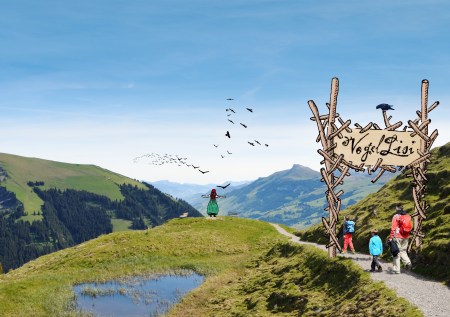 Die Vogellisi-Welt wächst